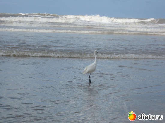 ����������� ���� � ������� 2.02.2013, ������: �������...