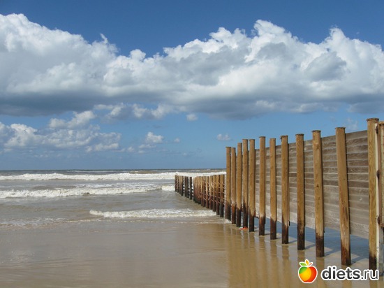 ����������� ���� � ������� 2.02.2013, ������: �������...