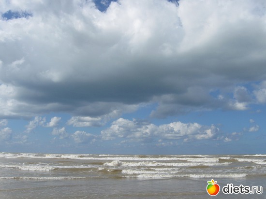 ����������� ���� � ������� 2.02.2013, ������: �������...