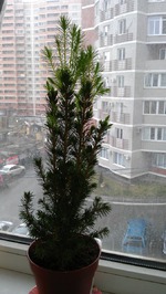 ������! ������! (02.02.2013)