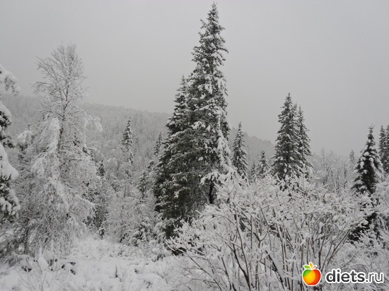 ���� �������, ������: ���� ������� ��� ��������