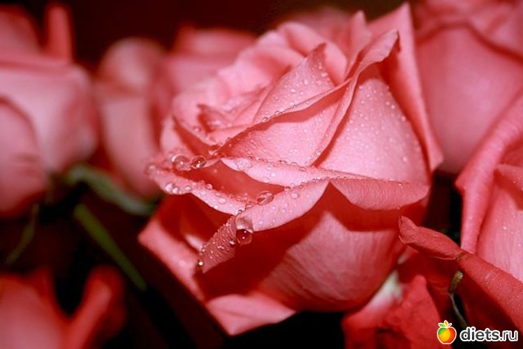 30 фото: ПОЗДРАВЛЯЛКИ