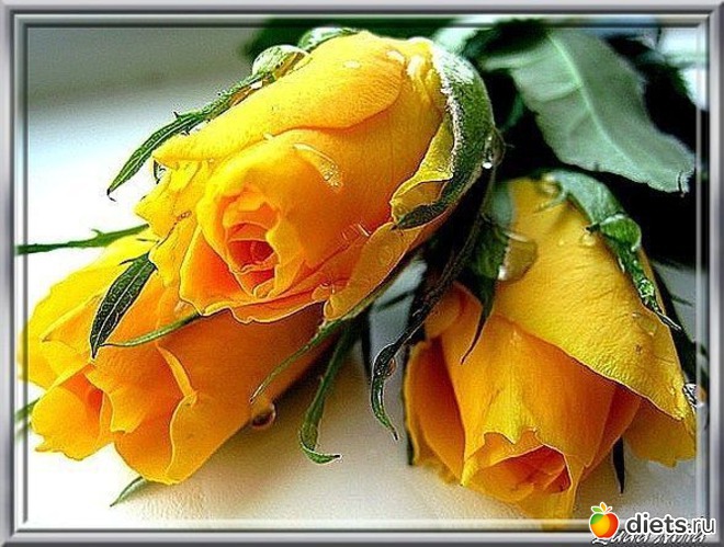 31 фото: ПОЗДРАВЛЯЛКИ