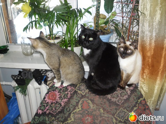 2 фото: рукоделие