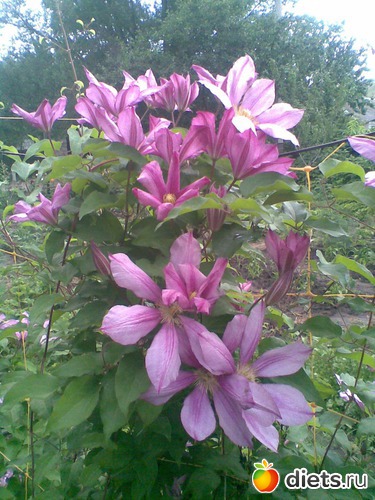 4 ����: ������������ � ���� (��� ��������)