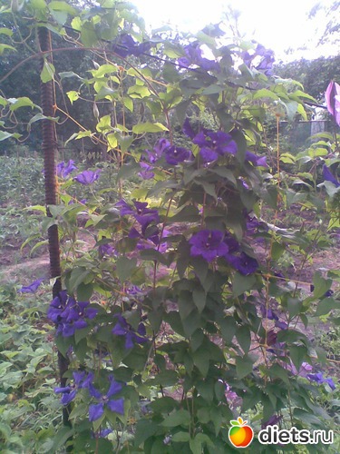 5 ����: ������������ � ���� (��� ��������)