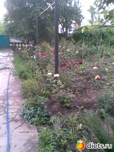 6 фото: воспоминания о лете (что осталось)