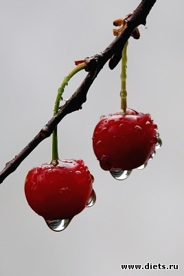 ���������, ���������� ������� (��������� � �����!)