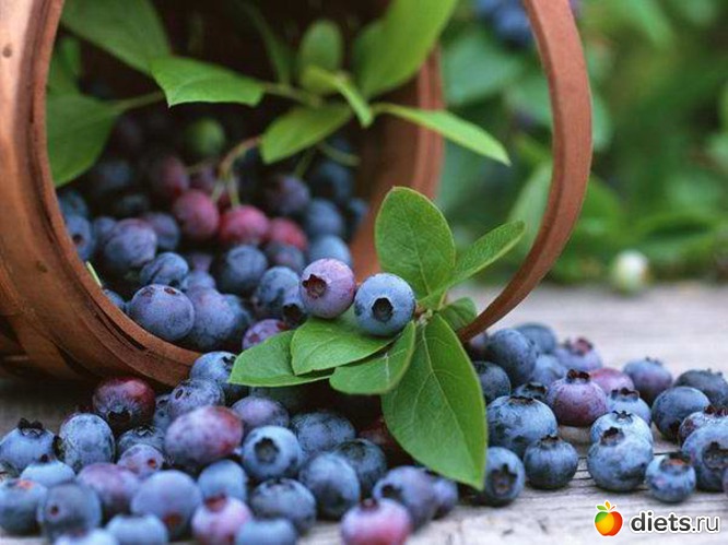 14 ����: ���������, ���������� ������� (��������� � �����!)