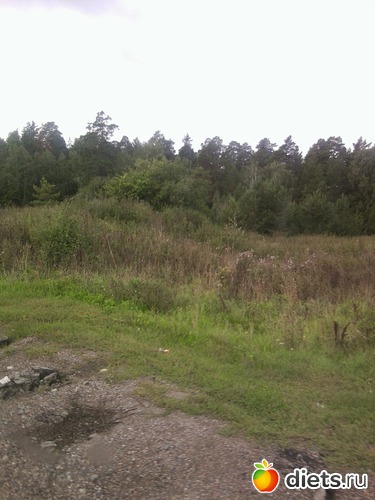 3 ����: � ������ � �������