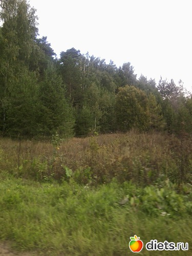 4 ����: � ������ � �������