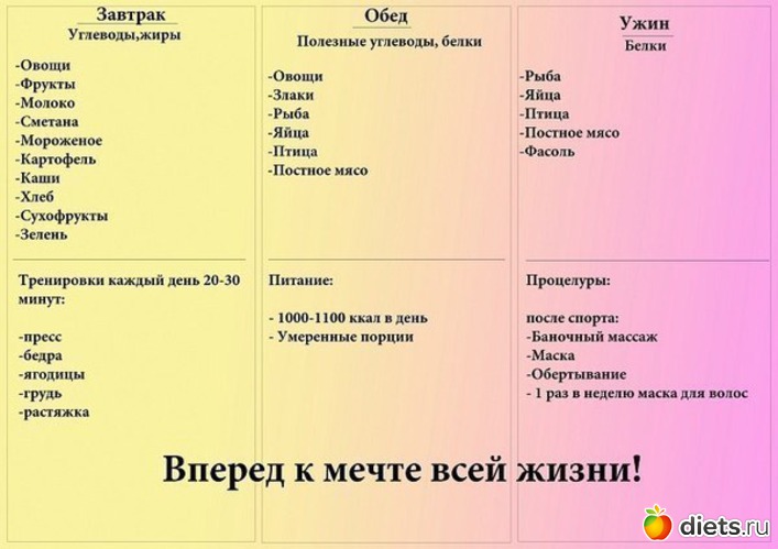 25 ����: ���������