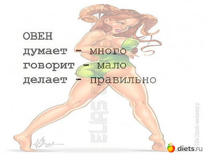 13 ����: ����-��������.