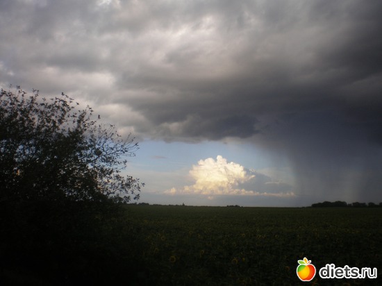 2 ����: ���� ��� ��� ���� �����?