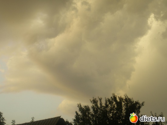 4 ����: ���� ��� ��� ���� �����?