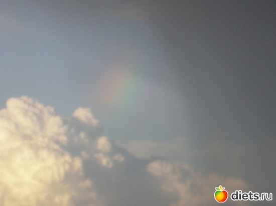 5 ����: ���� ��� ��� ���� �����?