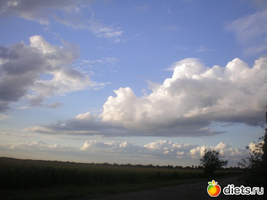 6 ����: ���� ��� ��� ���� �����?