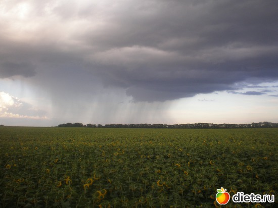 7 ����: ���� ��� ��� ���� �����?