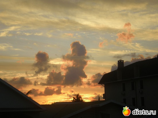 11 ����: ���� ��� ��� ���� �����?