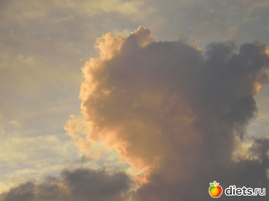 12 ����: ���� ��� ��� ���� �����?