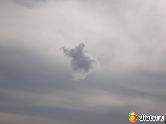 13 ����: ���� ��� ��� ���� �����?