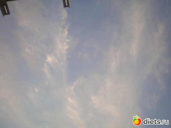 14 ����: ���� ��� ��� ���� �����?