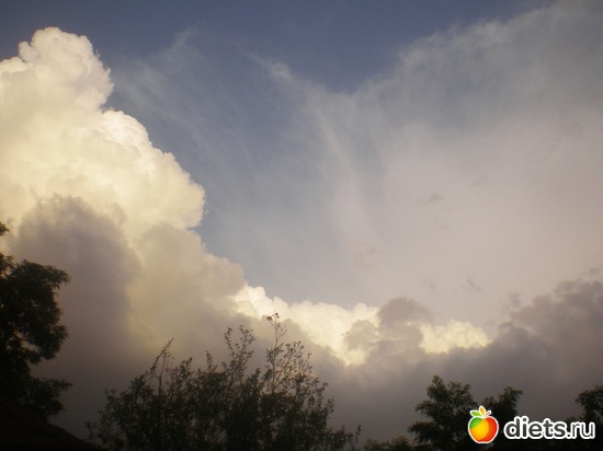 15 ����: ���� ��� ��� ���� �����?