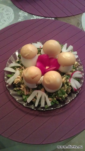 5 ����: �����