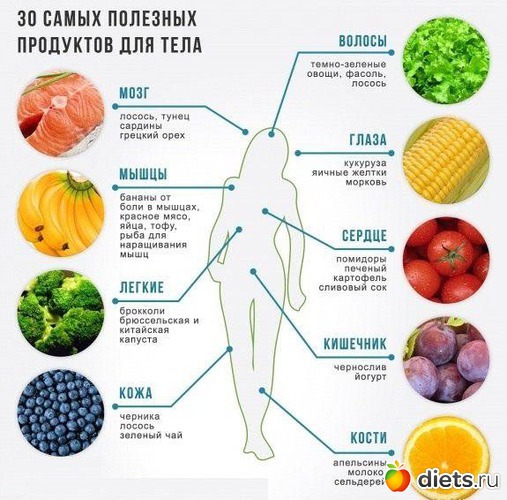 3 ����: �������