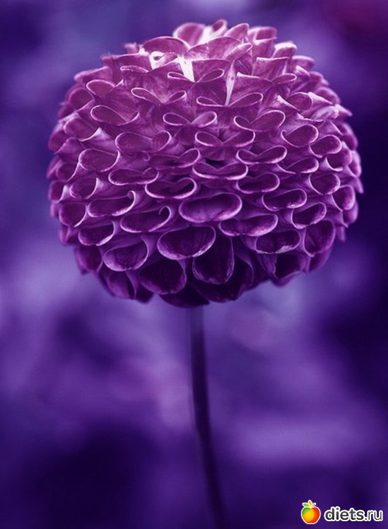 18 ����: ��� ����!