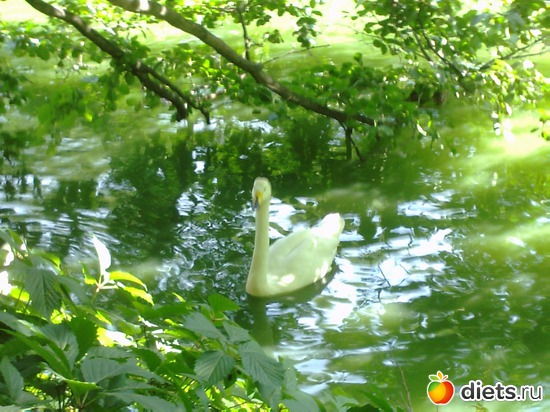 3 ����: ��������,������ 2012