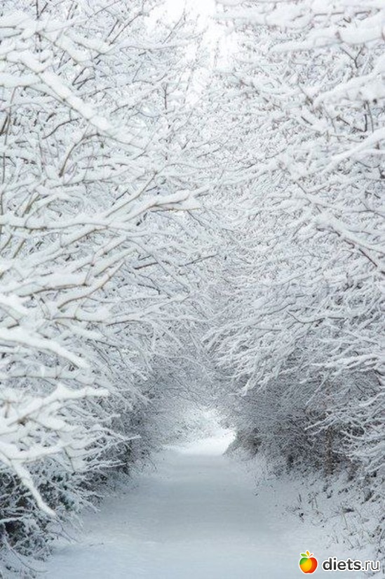 24 ����: ��� ����!