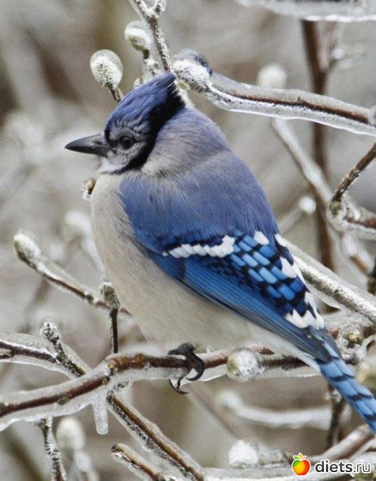 25 ����: ��� ����!