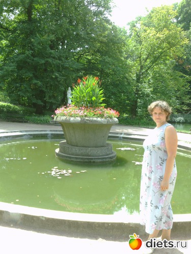 5 ����: ��������,������ 2012