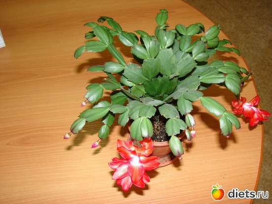 2 ����: ���������