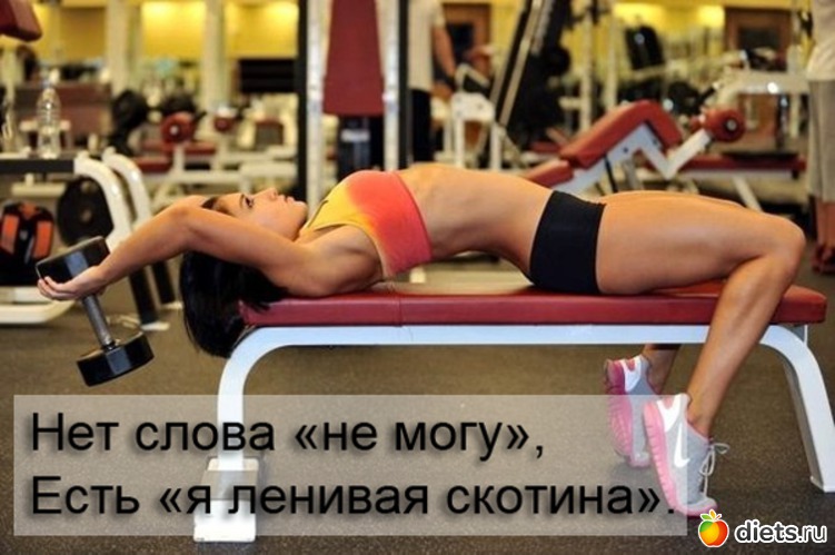 Нет слова "не могу". Есть "я ленивая скотина", альбом: Для постов