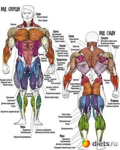 ������ ��� ������� 2