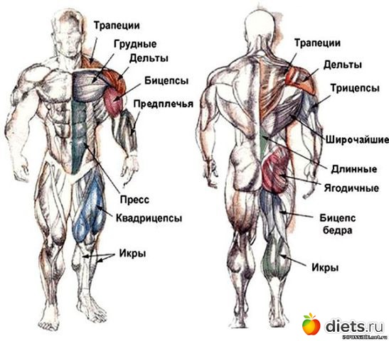 ������ ��� ������� 2