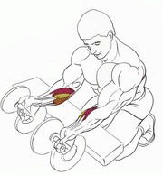 ������ ��� �������