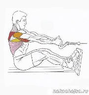 ������ ��� �������