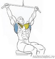 ������ ��� �������