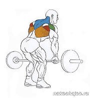 ������ ��� �������