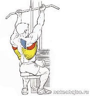 ������ ��� �������