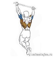 ������ ��� �������