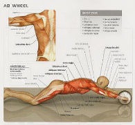 ������ ��� �������