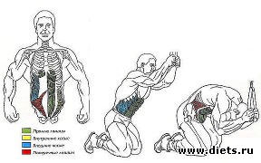 ������ ��� �������