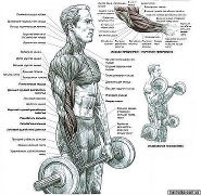 ������ ��� �������