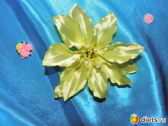 23 ����: ������ ������