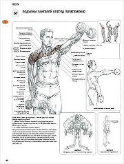 ������ ��� �������