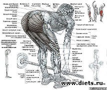 ������ ��� �������